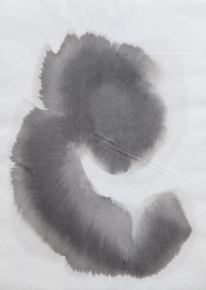 Embryo von der Seite