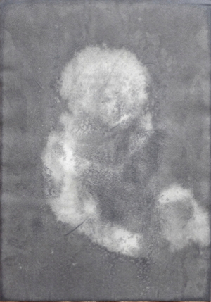 Embryo von der Seite