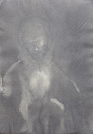 Embryo von vorne
