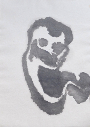 Embryo von der Seite