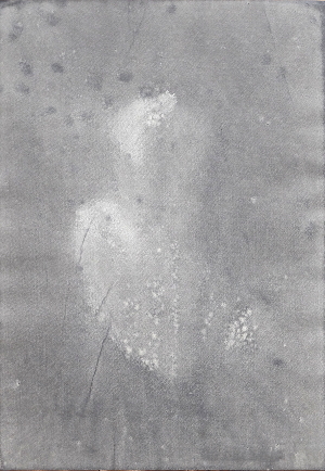 Embryo von der Seite