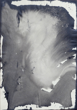 Embryo von der Seite