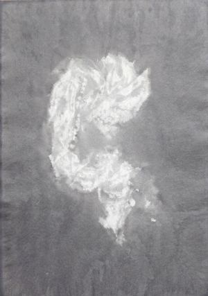 Embryo von der Seite