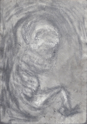Embryo von der Seite