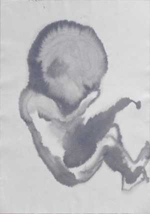 Embryo von der Seite
