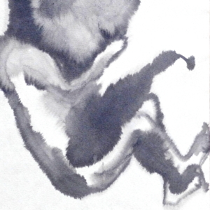 Embryo