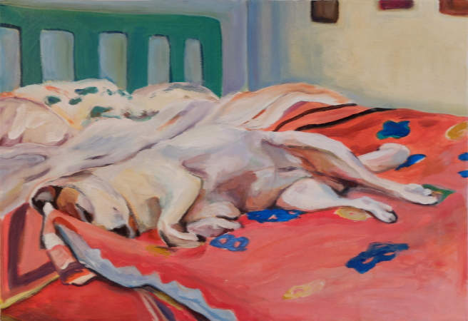 Hund, der auf einem Bett schläft
