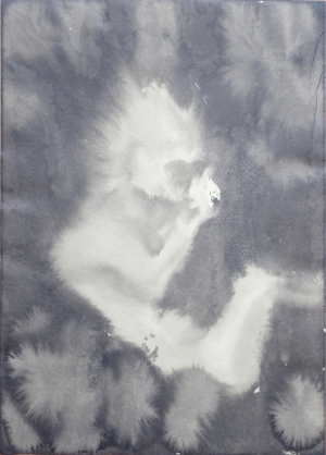 Embryo von der Seite