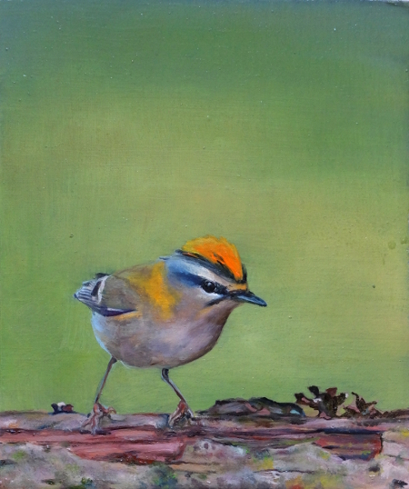 Vogel auf Ast