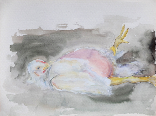 Huhn auf dem Rücken